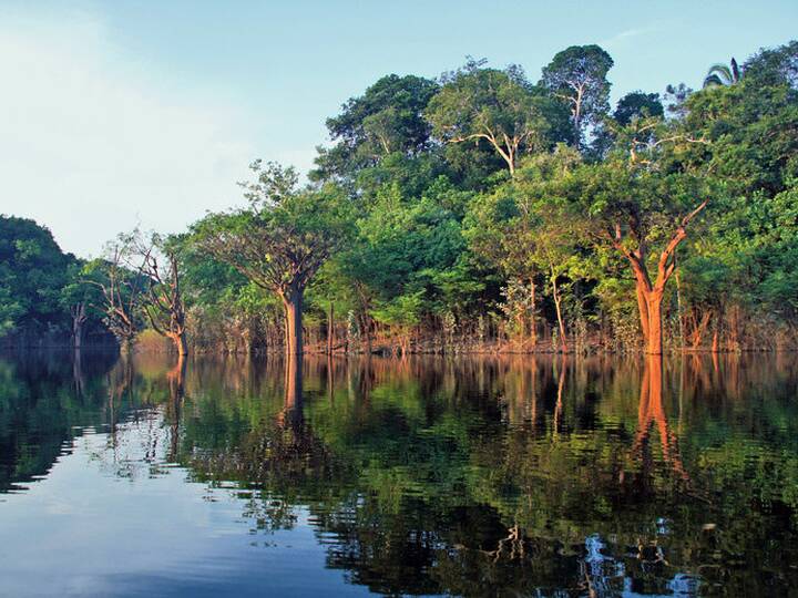 Amazonas Der Wassereichste Fluss Der Welt