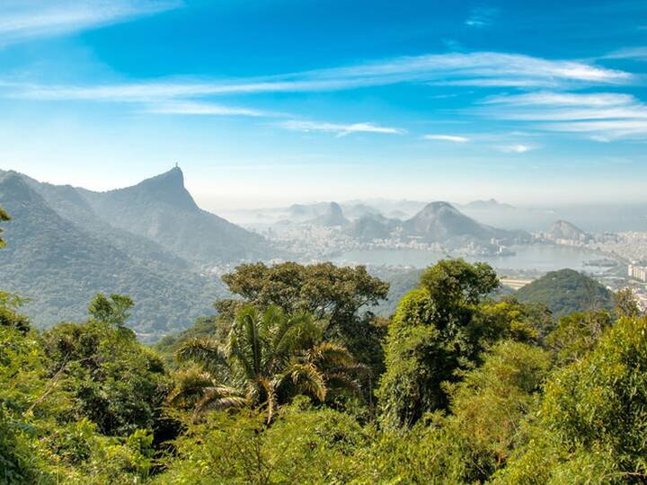 Nationalpark Tijuca Rio de Janeiro