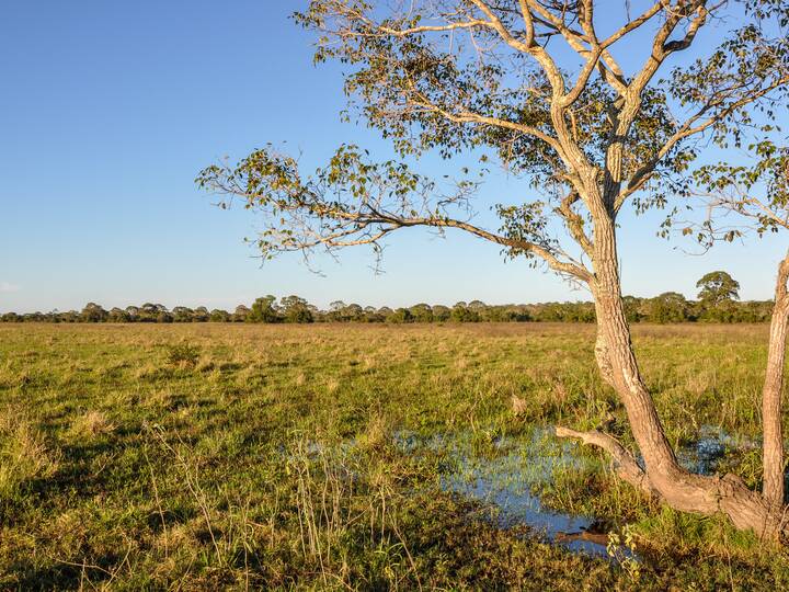 Mato Grosso do Sul Brasilien